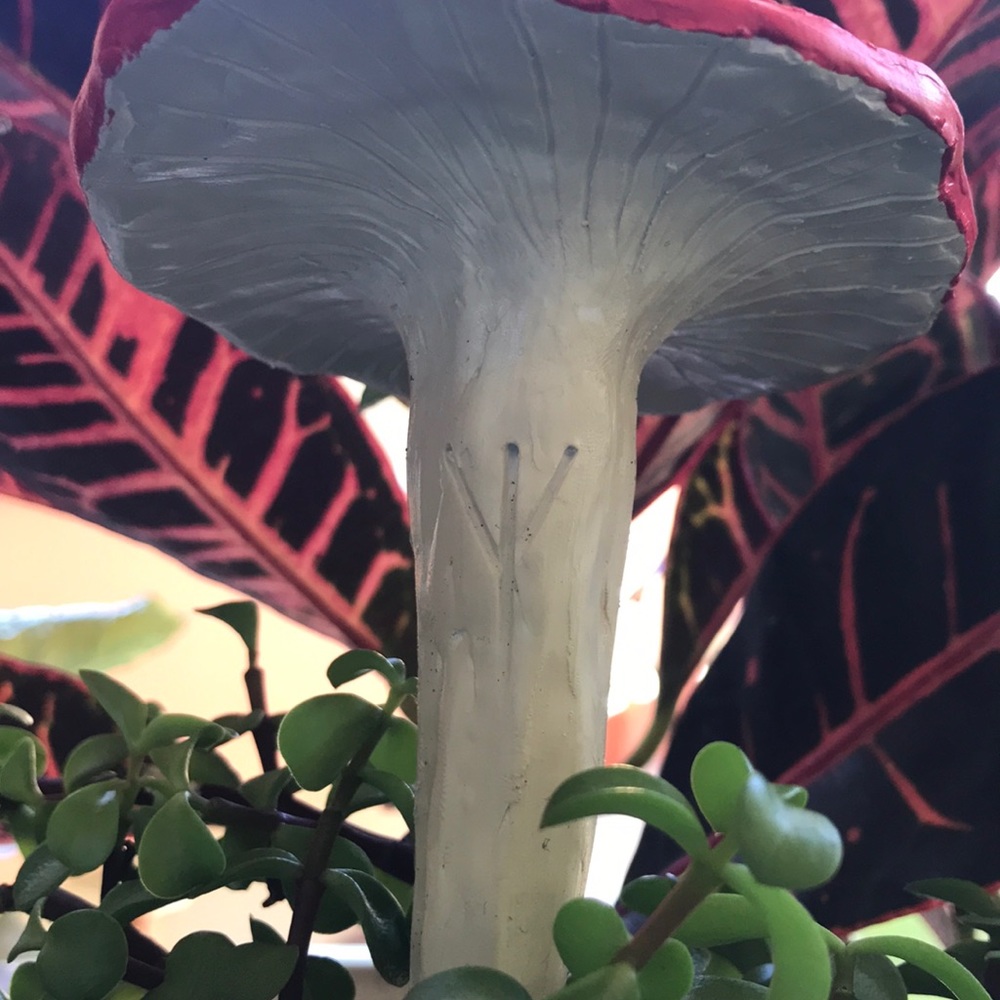 MUSHROOM 🍄 GARDEN STAKE TALISMAN ALGIZ RUNE ✨ - Picture 9 of 16